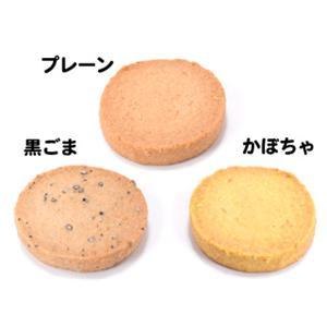 �������å�Ʀ�������饯�å���A��1Ȣ+����ȥ�å���1.5L 1���դ�