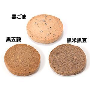 �������å�Ʀ�������饯�å���B��1Ȣ+����ȥ�å���1.5L 1���դ�